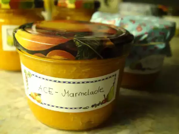 Rezept Gesund und lecker: ace-marmelade