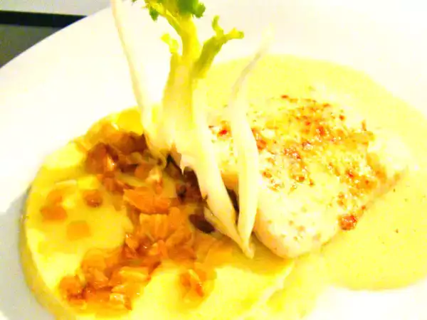 Rezept Fenchellasagne zu saibling mit zitronenbuttersauce