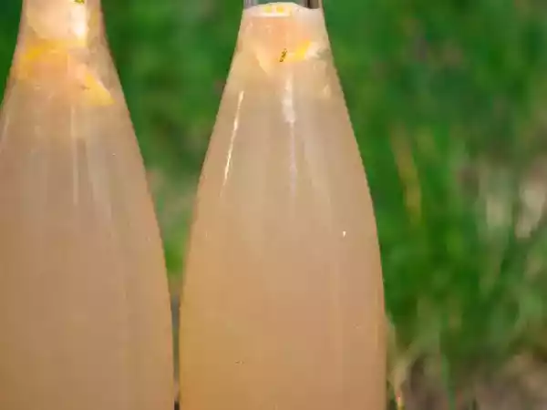 Rezept Woher weiß eigentlich...