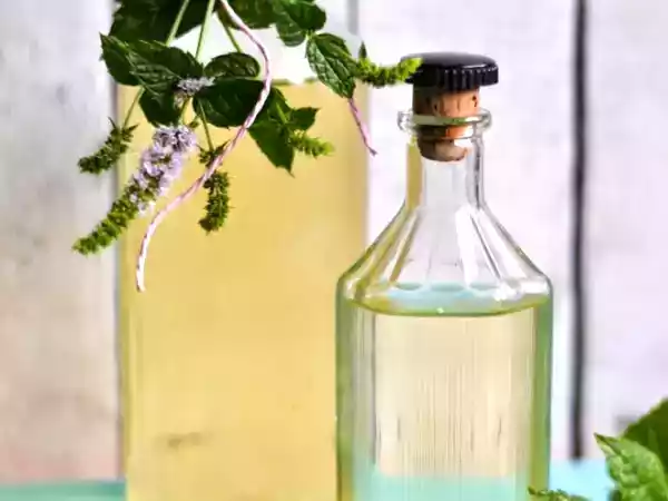 Rezept Simple syrup und pfefferminzsirup