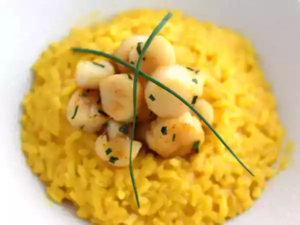 Rezept Risotto von jakobsmuscheln mit safran