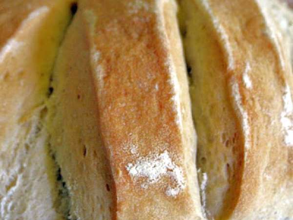 Pane girasole, Rezept Petitchef