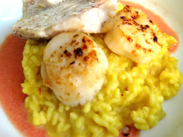 Rezept Rotbarschfilet, fenchel-safranrisotto, gegrillte jakobsmuschel mit lakritz und kaktusfeige