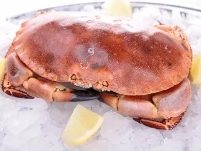 Rezepte crab