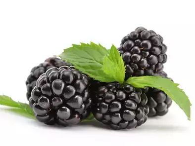 Rezepte blackberry