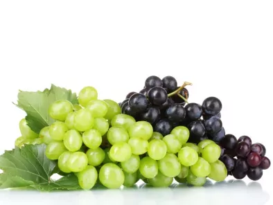 Rezepte grape