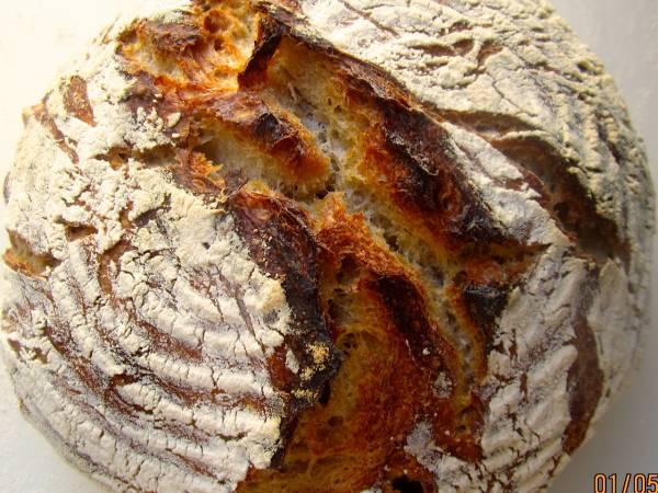 KNEIFEN STATT KNETEN - EINKORN-HASELNUSS-BROT À LA FORKISH - Zubereitung Schritt 9