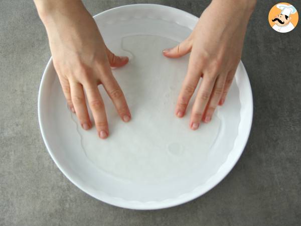 Frühlingsrollen mit geräuchertem Lachs und Apfel - Zubereitung Schritt 2