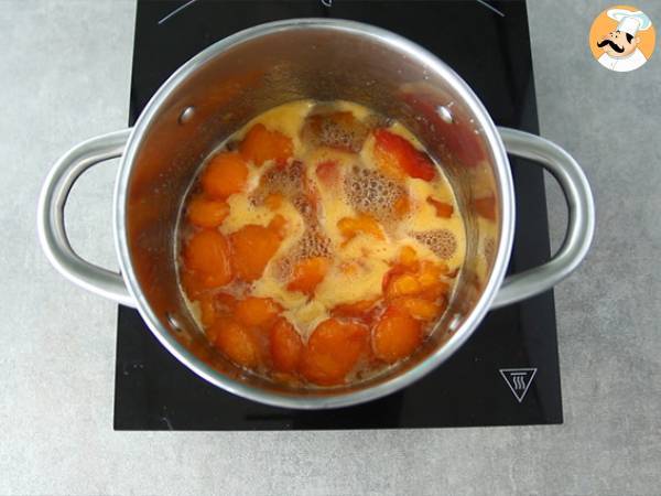 Hausgemachte Aprikosenkonfitüre - Zubereitung Schritt 3