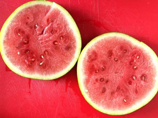 Sandwich Wassermelone Feta Rucola, das virale Rezept für den Sommer! - Zubereitung Schritt 1