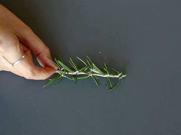 Cocktail mit einem verschneiten Tannenbaum im Inneren - Zubereitung Schritt 1