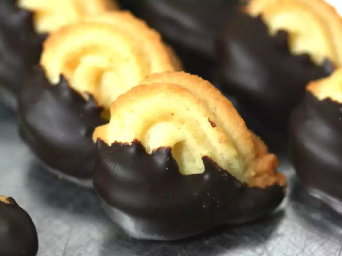 Aller guten Dinge sind Vier – Minisandhörnchen