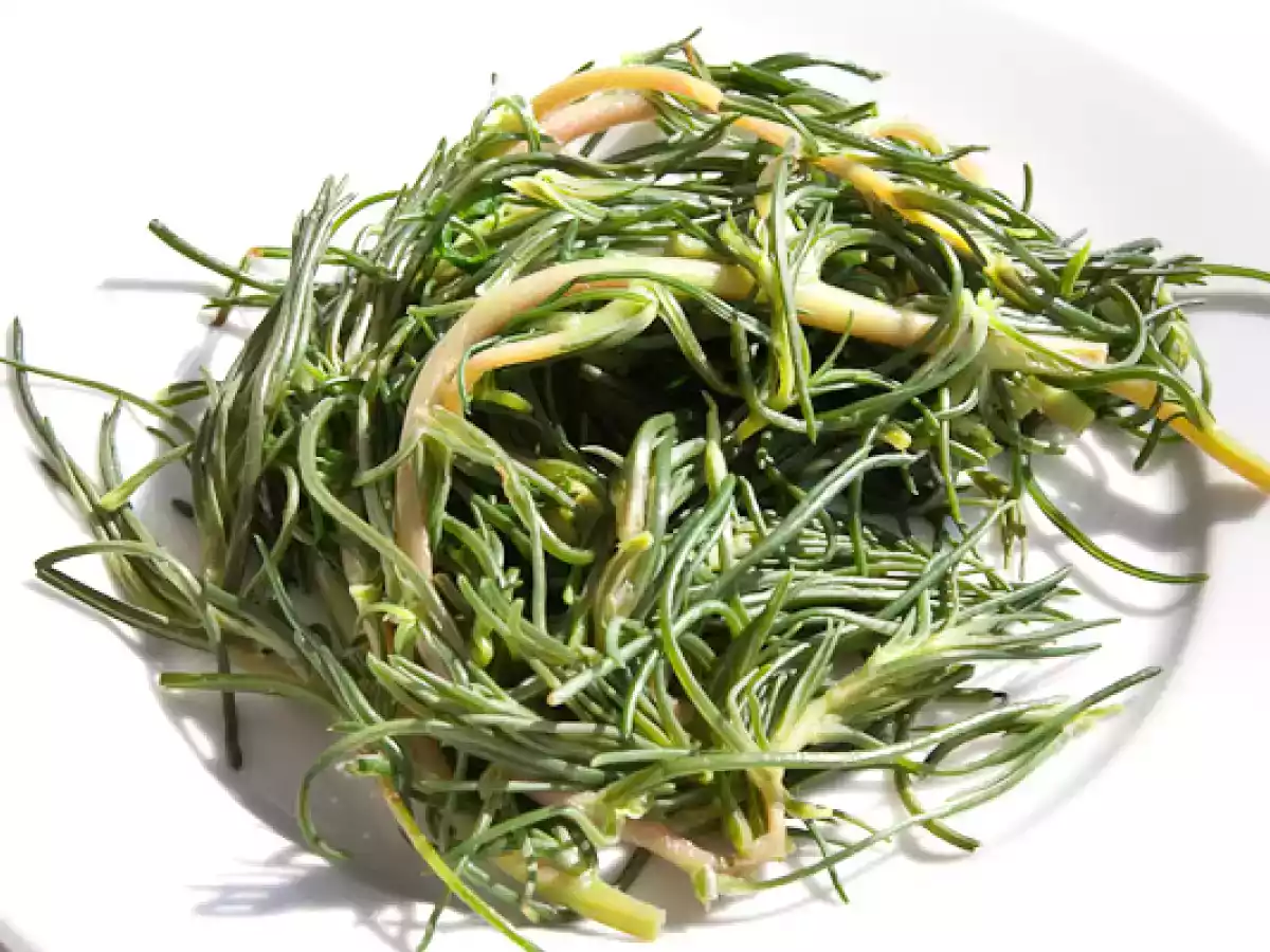 Almira Tamarix gallica