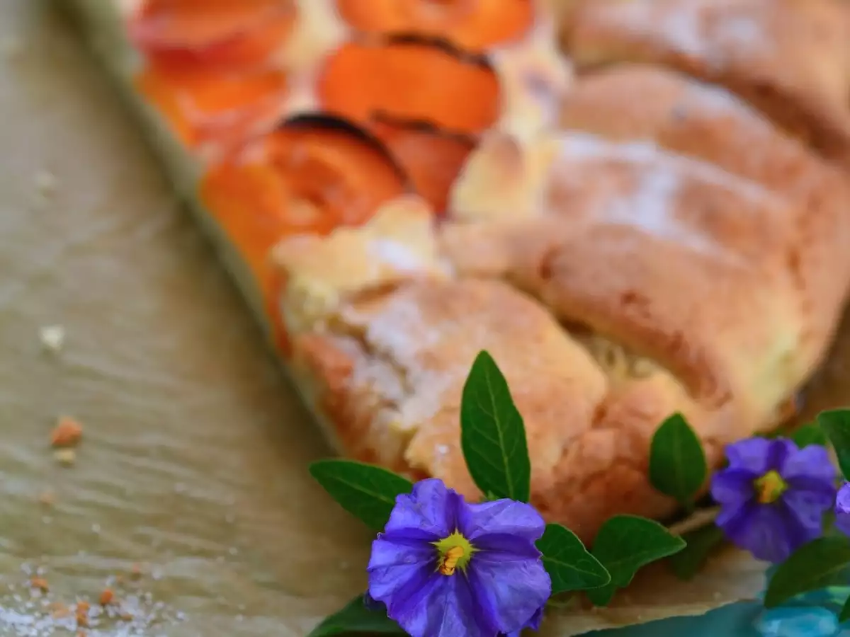 Als ich einen Draht zum Vogel drehte