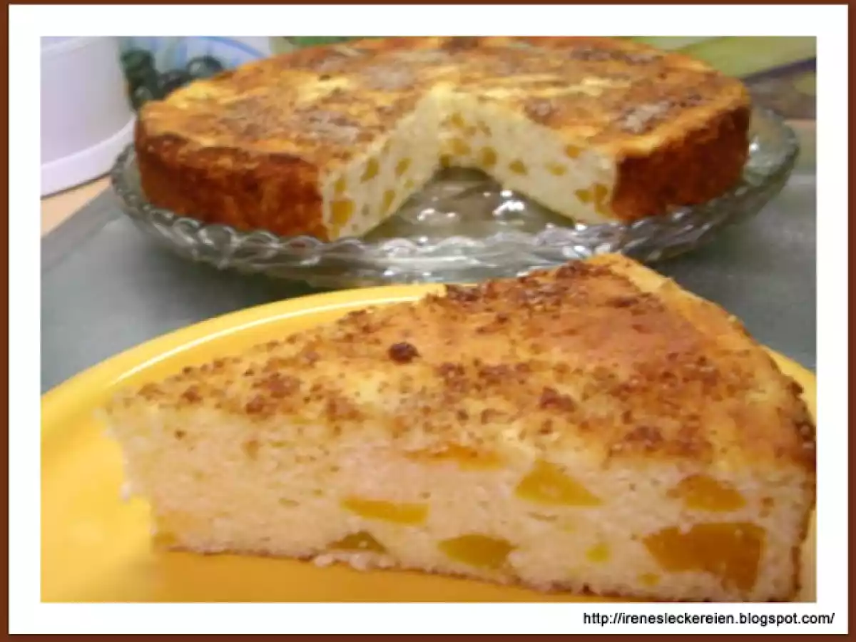 Aprikosen-Quarkkuchen