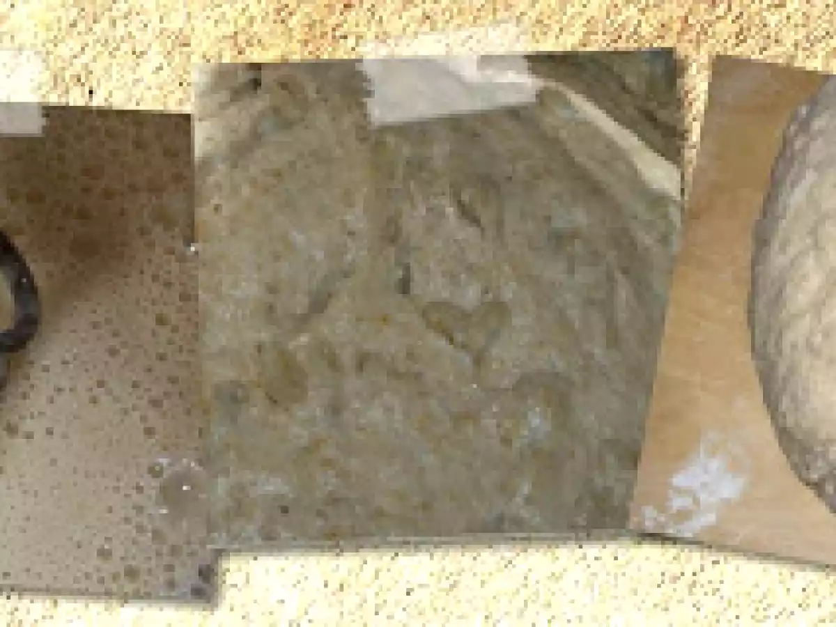 BBD #34: Barley Bread