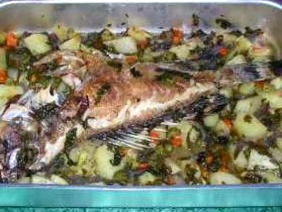 Cernia oder Zahnbrasse im Backofen