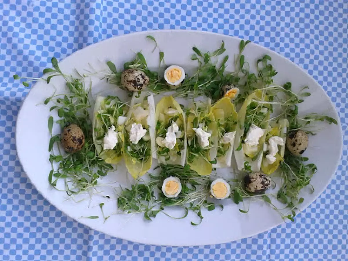 Chicoree im Osternest