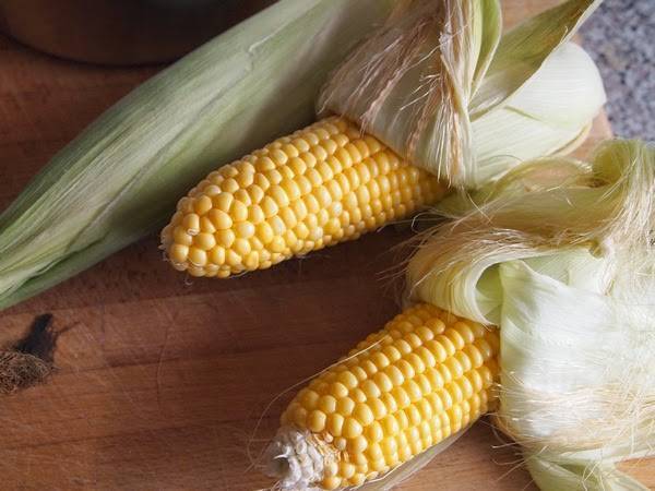 Corn Chowder - Suppe aus frischem Gemüsemais