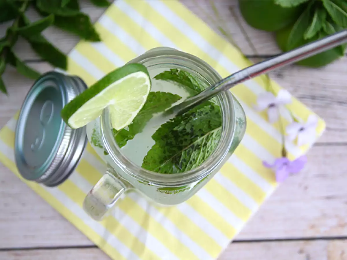 Einfacher kubanischer Mojito - foto 2