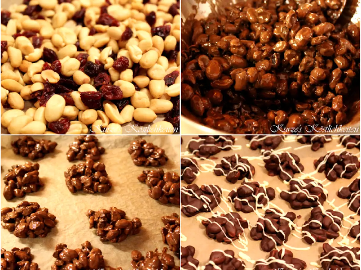 ~ Erdnüsse ~ Schokolade ~ Cranberries ~ Studentenfutter Deluxe - foto 2