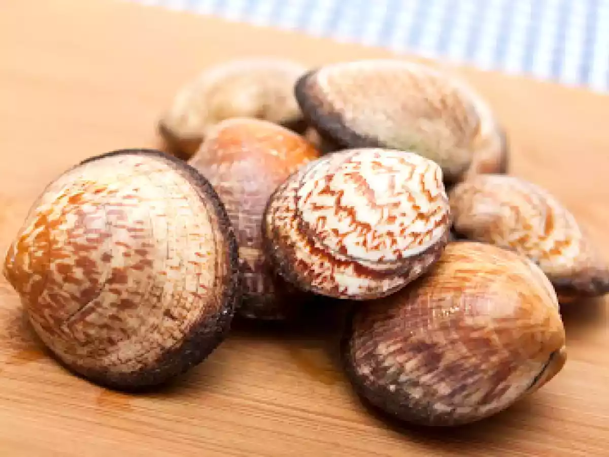 Etwas neues entdeckt: Meermandeln, zubereitet mit Spinat-Limetten-Pasta und Lachs - foto 2