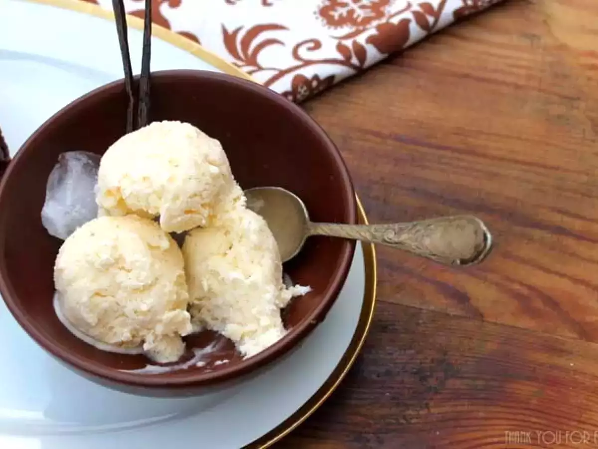 Frozen Pops von Dora von Zandt + Vanille-Sahne-Eis