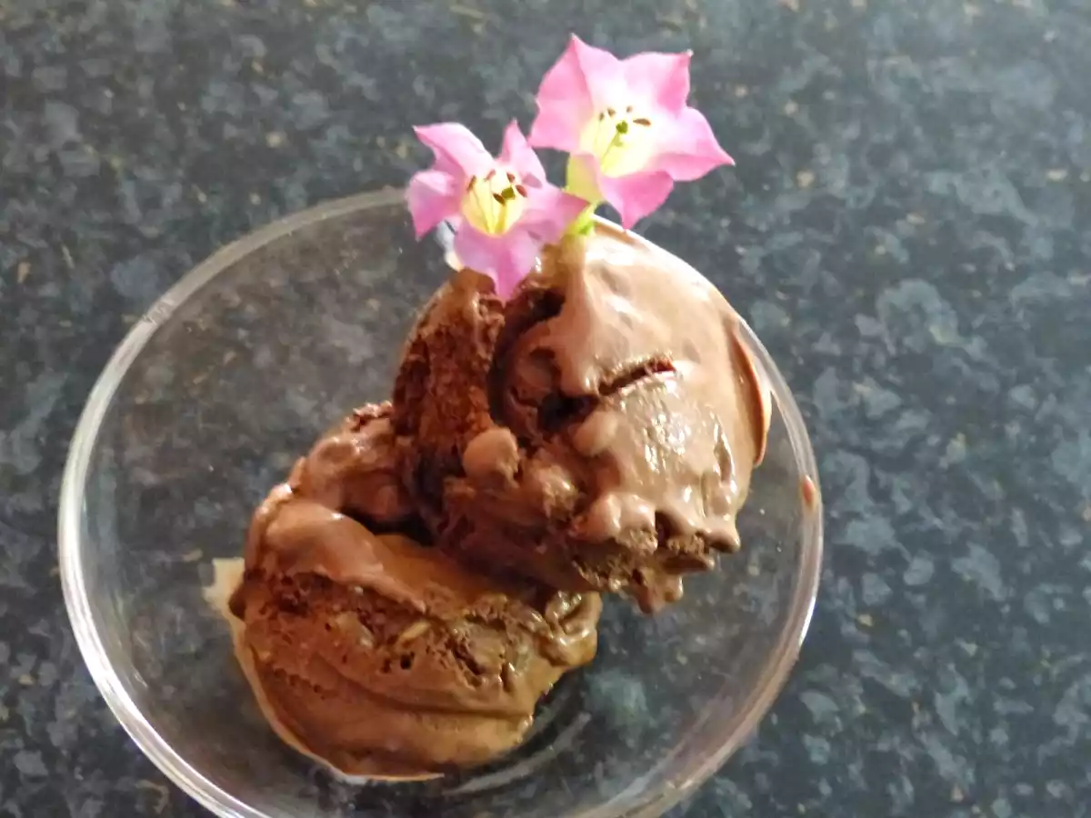 Frozen Yoghurt Schokolade mit gebrannten Mandeln