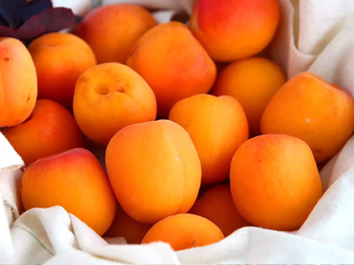 Gefüllte Aprikosen mit Thunfisch und Rosmarin - foto 6
