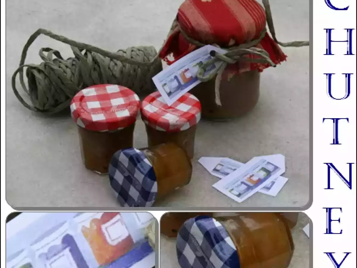 Gegrilltes Entenfilet mit Mirabellen Chutney