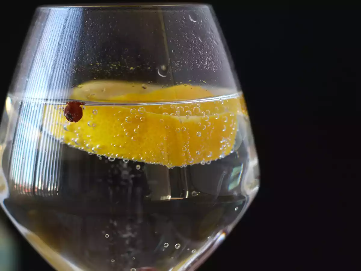 Gin Tonic, der perfekte Cocktail für den Aperitif! - foto 5