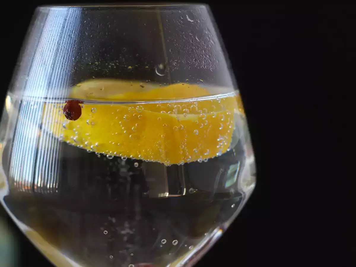 Gin Tonic: der unverzichtbare Cocktail zum Aperitif! - foto 5