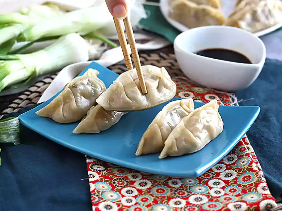 Gyoza mit Hächnchen, Karotten und Pilzen