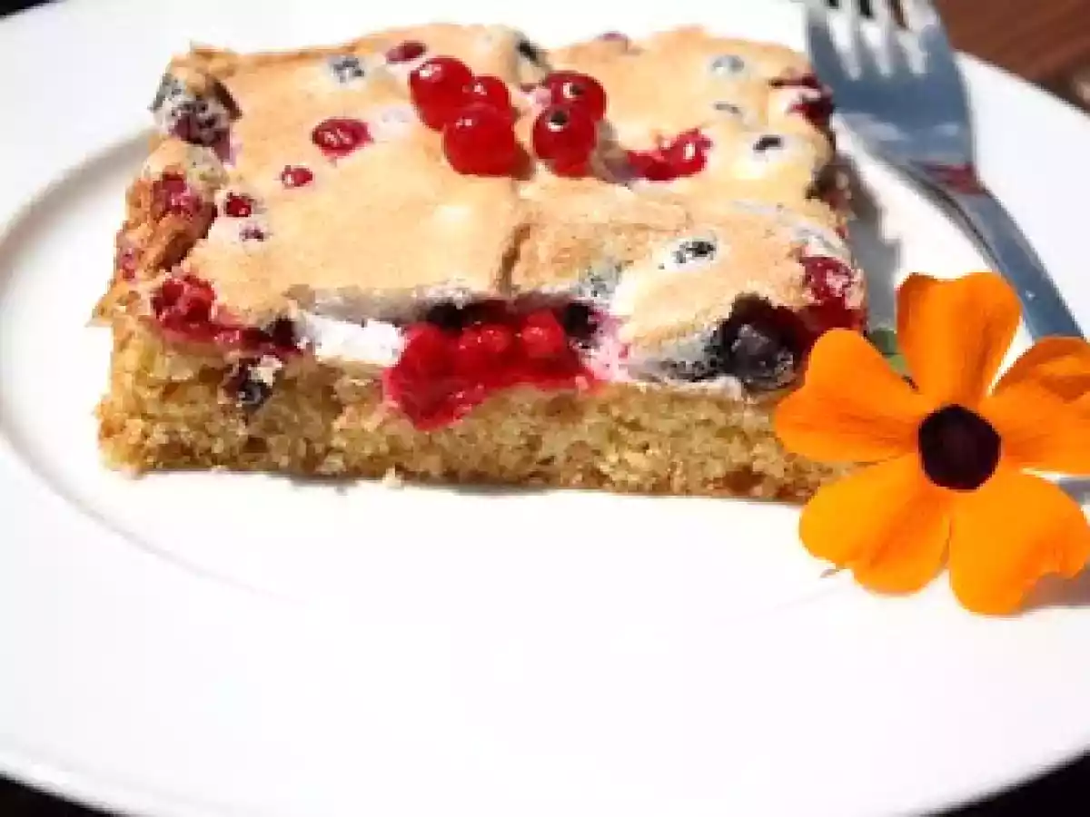 Haferflocken-Johannisbeer-Schnitten