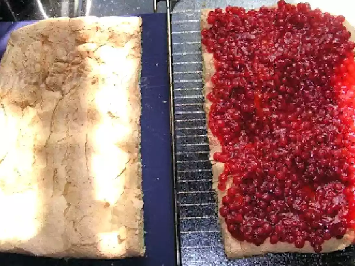 Johannisbeeren bis zum Abwinken