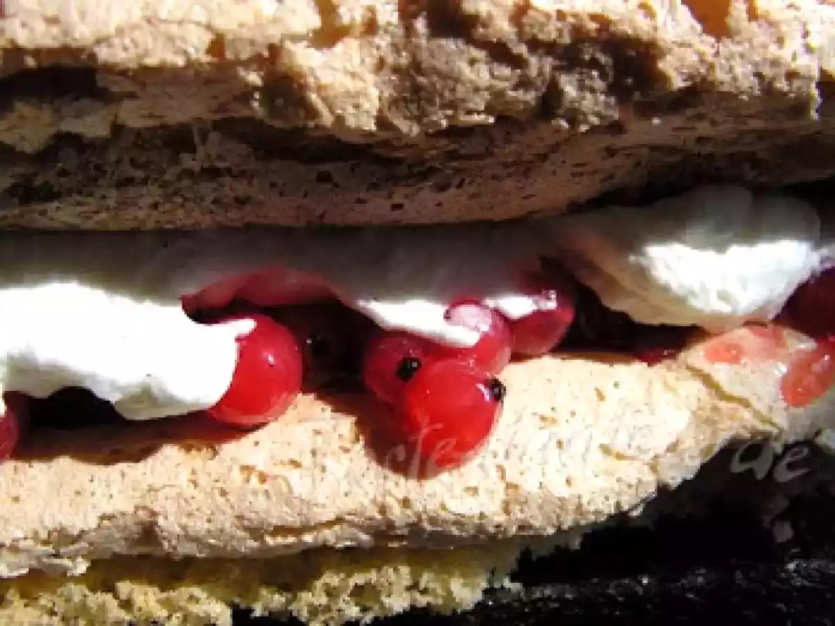 Johannisbeeren bis zum Abwinken - foto 2