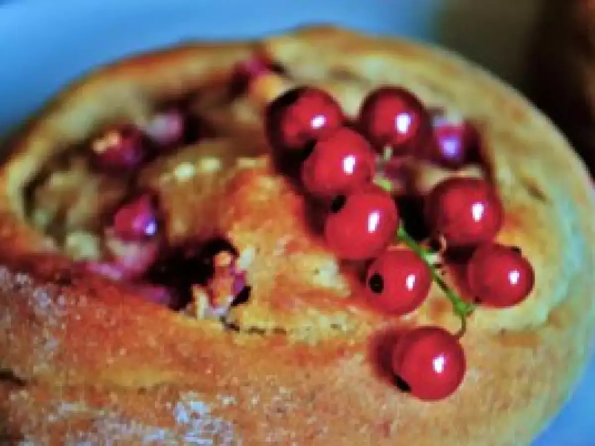 Johannisbeerschnecken