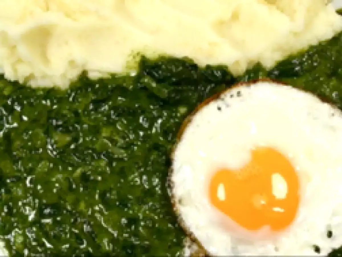 Klassischer Spinat Schwarz Grün