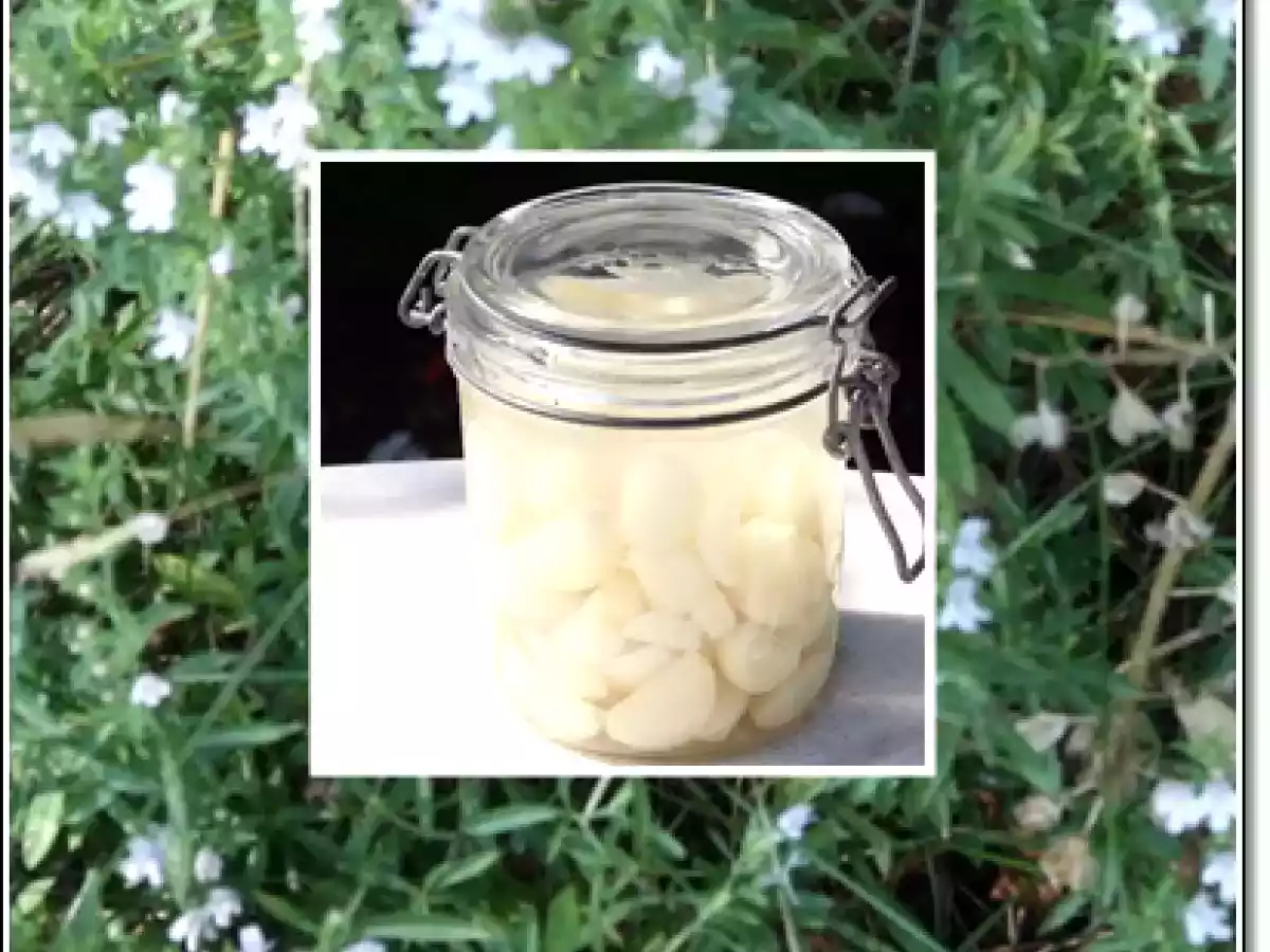 Knoblauch im Glas Ail en saumure