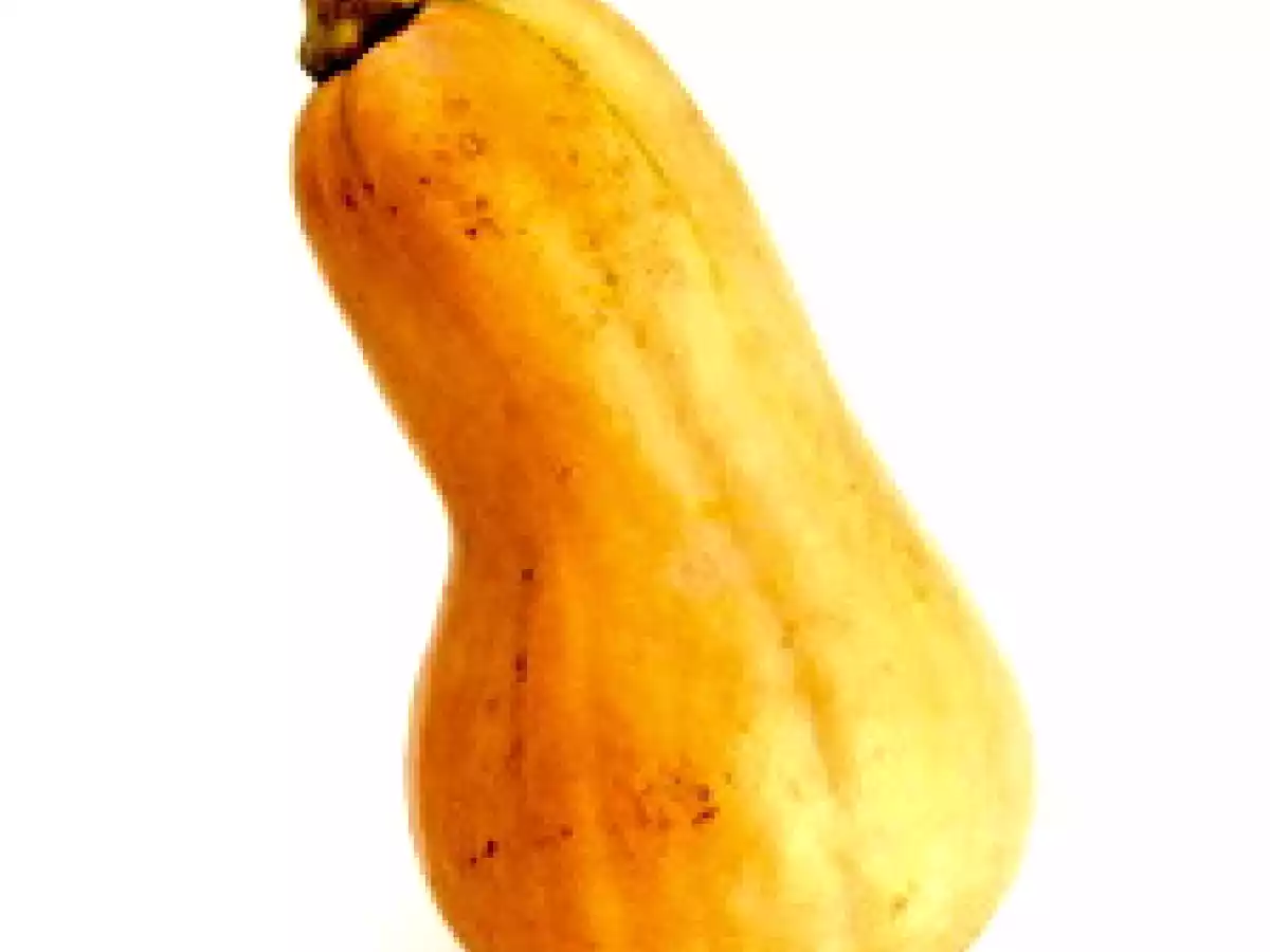 Kürbishäppchen mit Haselnuss-Pesto