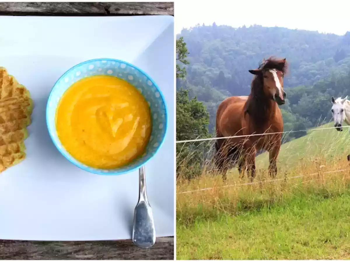 Kürbissuppe und Kartoffelwaffeln