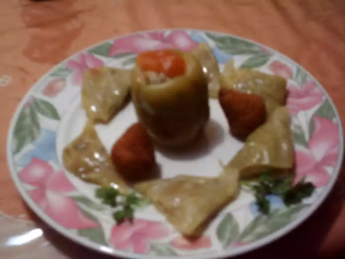 Lahana Sarmasi - gefüllte Weisskohlblätter