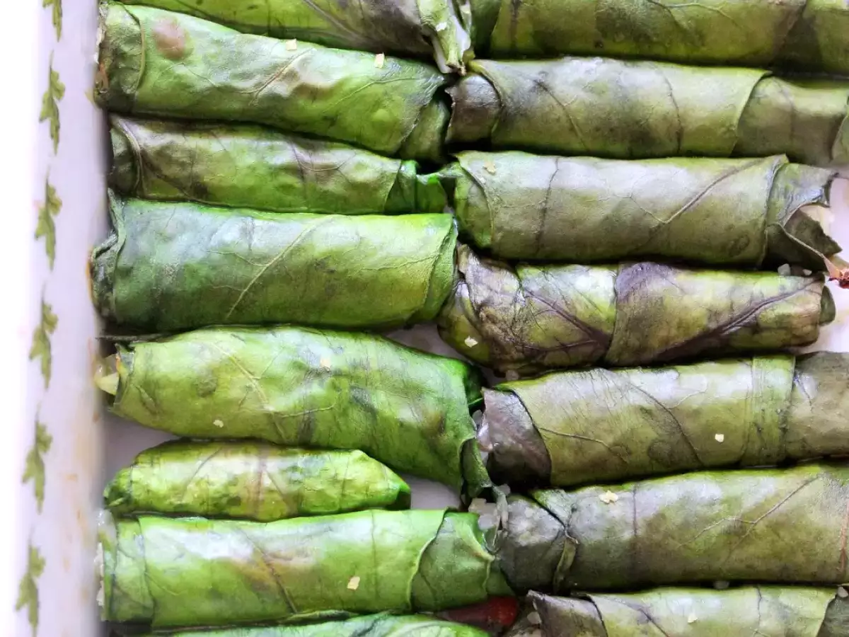 Lorlu Pazı Sarması / Mangoldroulade mit vegetarische Füllung