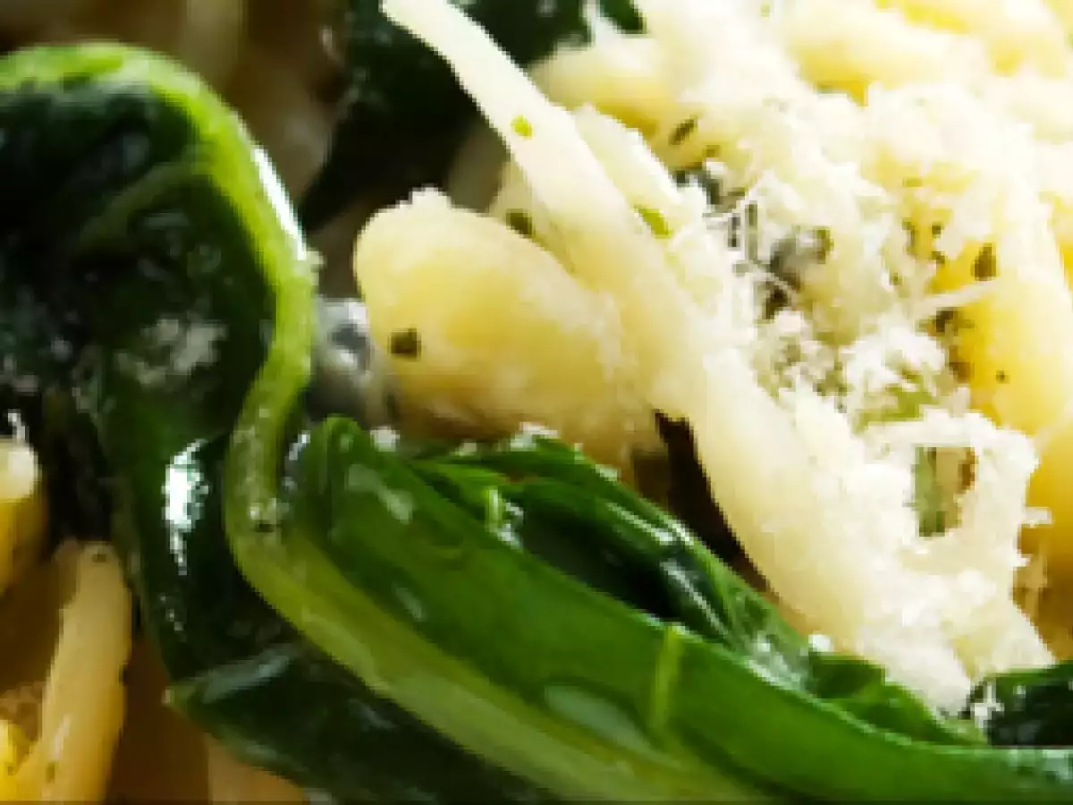 Mangold Pasta A Combination