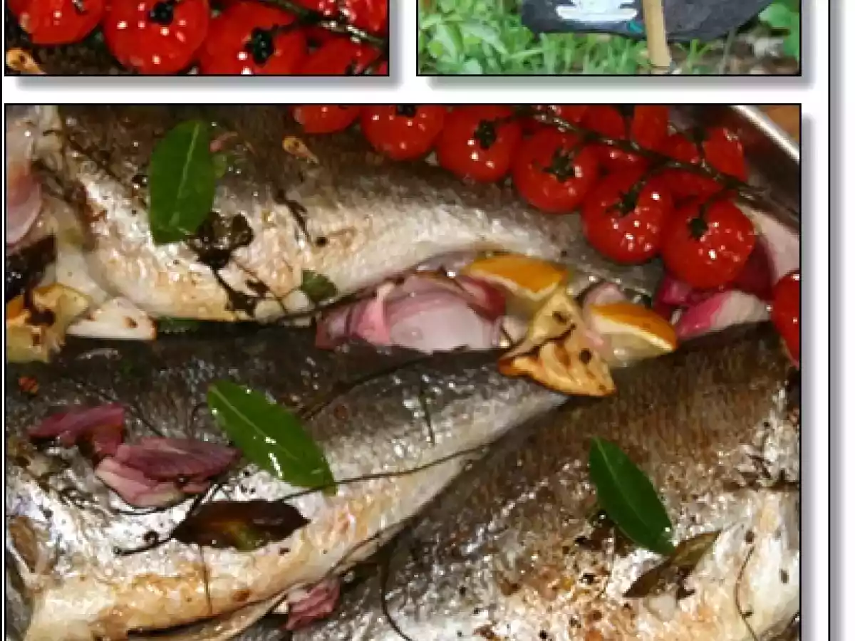 Marinierte gegrillte Dorade