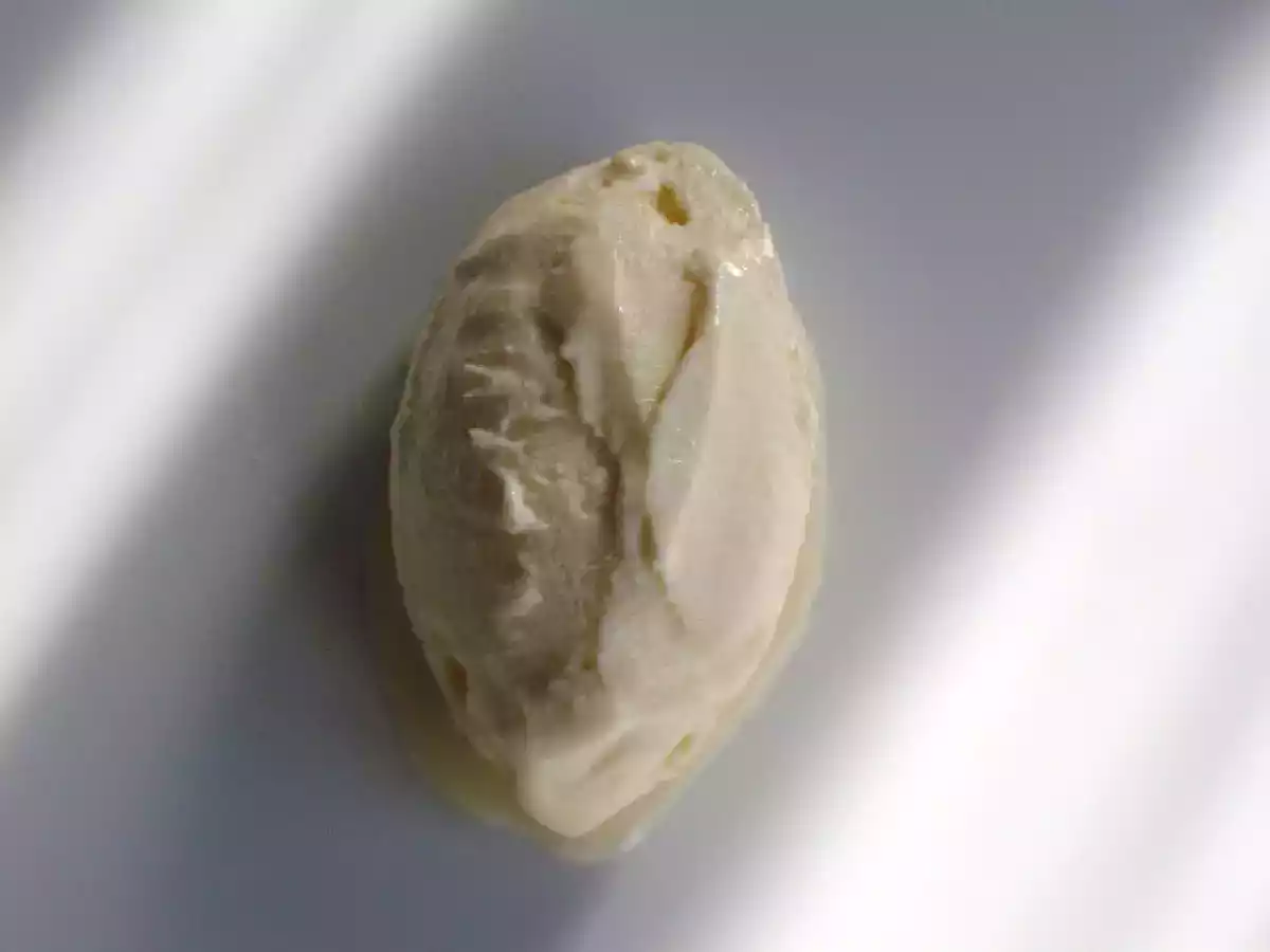 Marzipaneis - Untertitel: Fast erwachsen