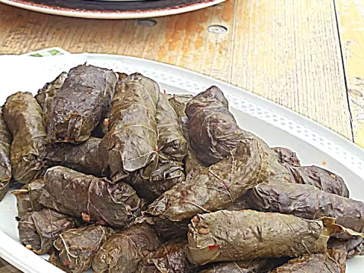 Mercimekli Bulgurlu Sarma / Gefüllte Weinblätter mit Linsen und Bulgur