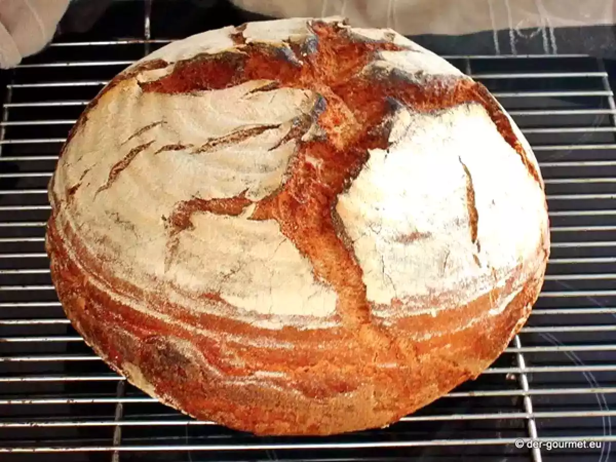 Münsterländer Landkruste