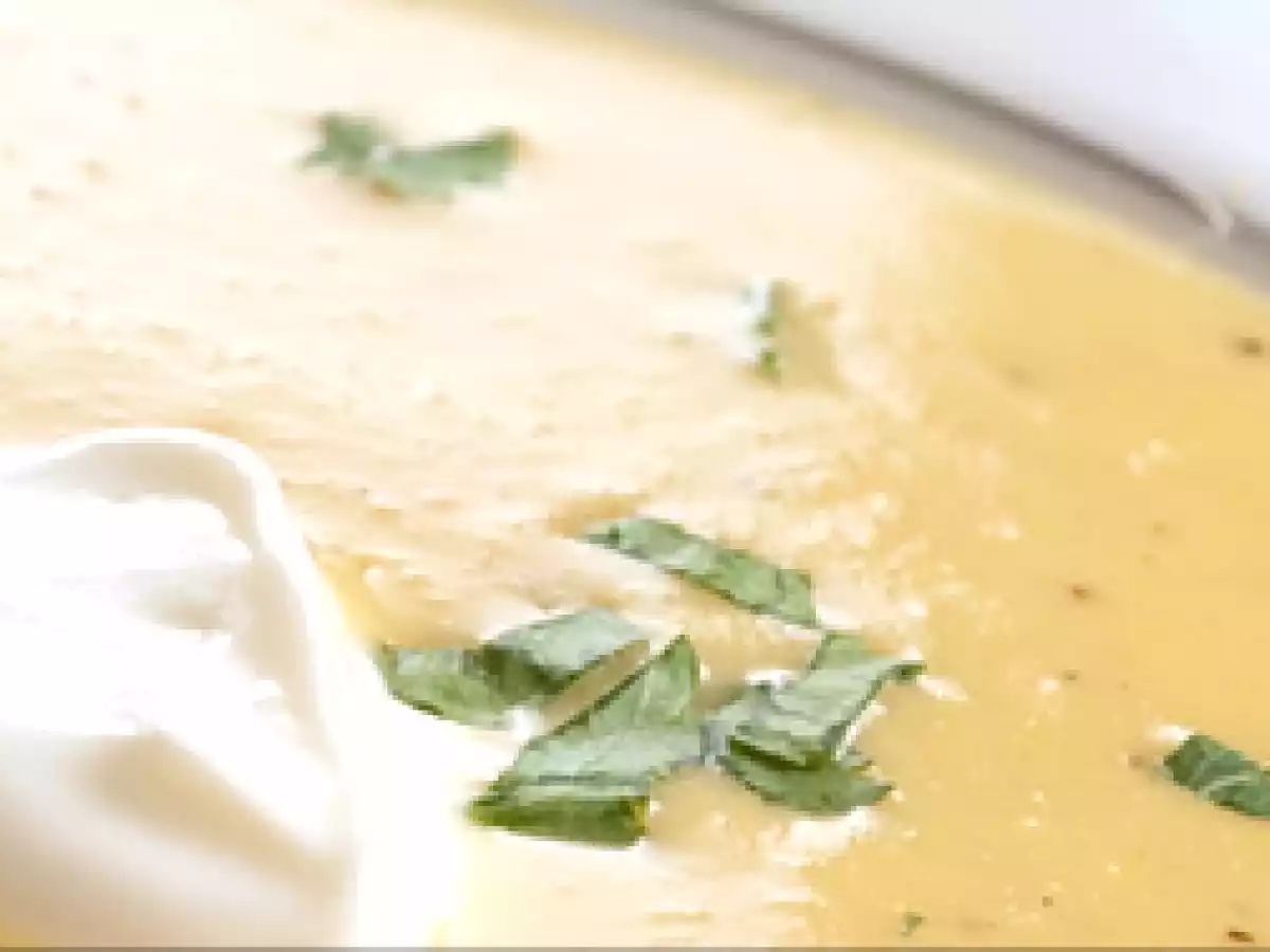 Rettich Suppe Schöne Rede