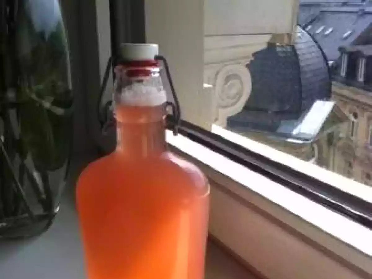 Rhabarber-Sirup mit Ingwer